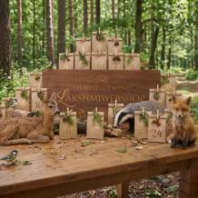 Luxe Wellness Adventkalender